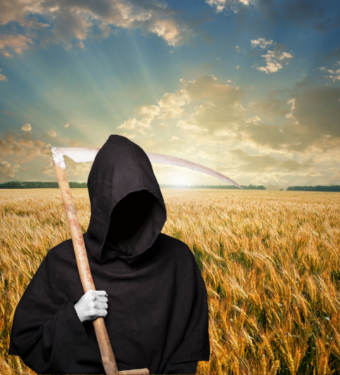 Don't let others reap what you sow